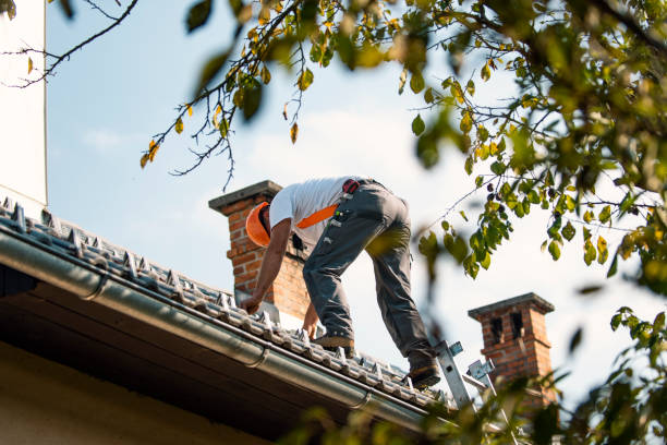 Roof Repair Estimates in New Union, TN