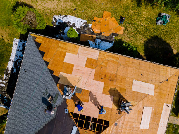 Best Shingle Roofing Installation  in New Union, TN